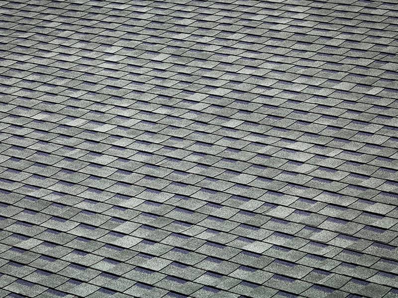 Roof Cleaning